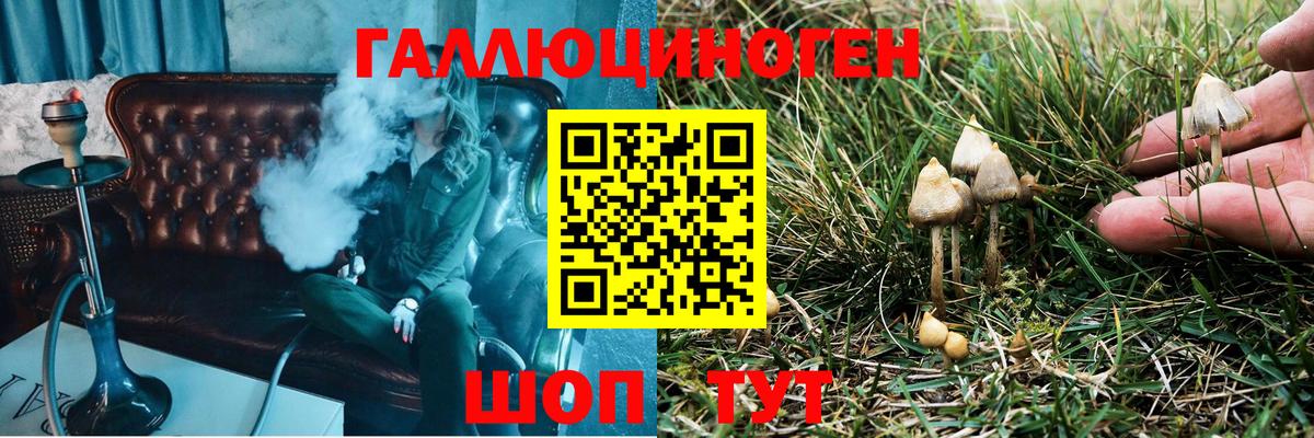 Псилоцибиновые грибы мицелий Саяногорск